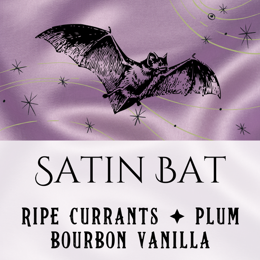 Satin Bat