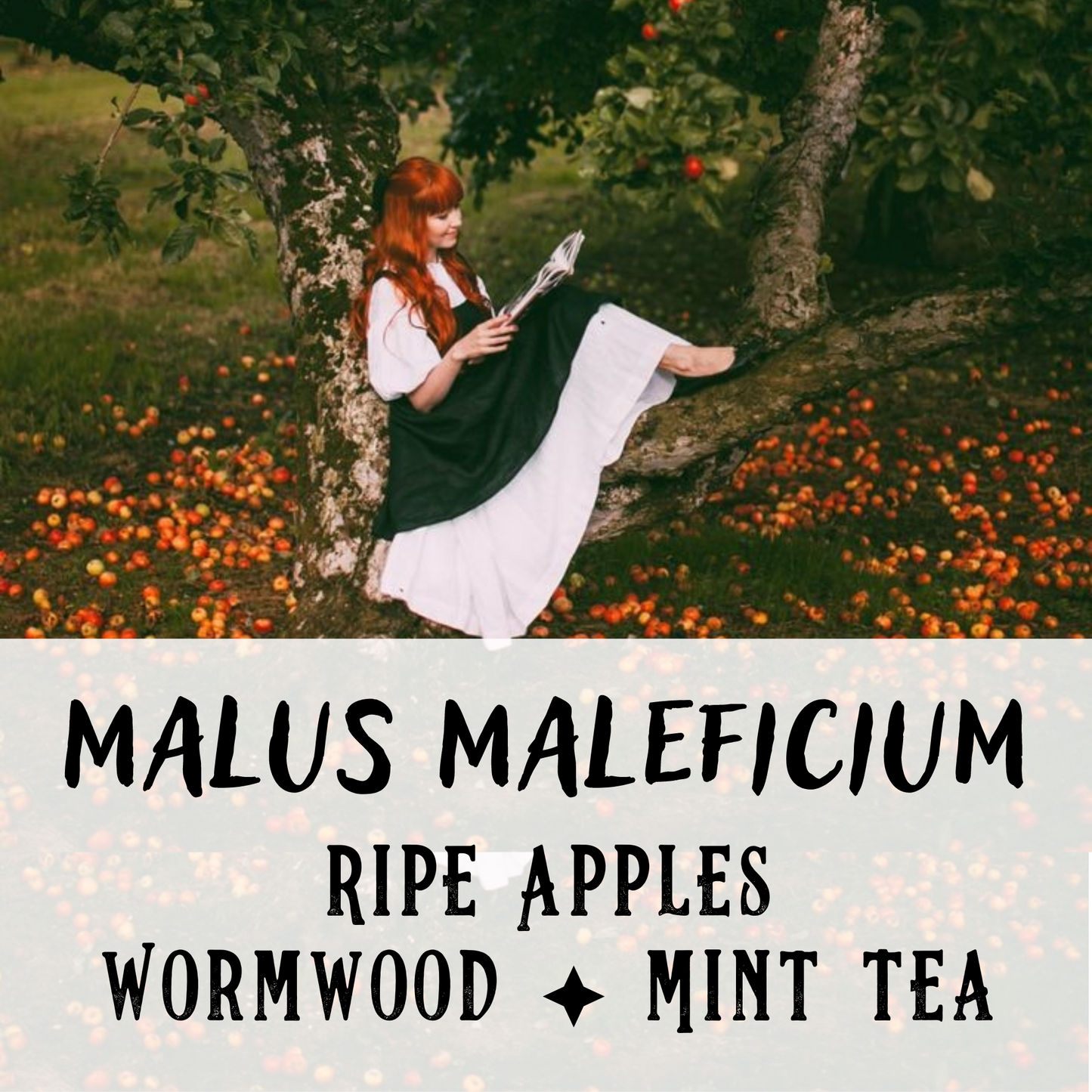 Malus Maleficium