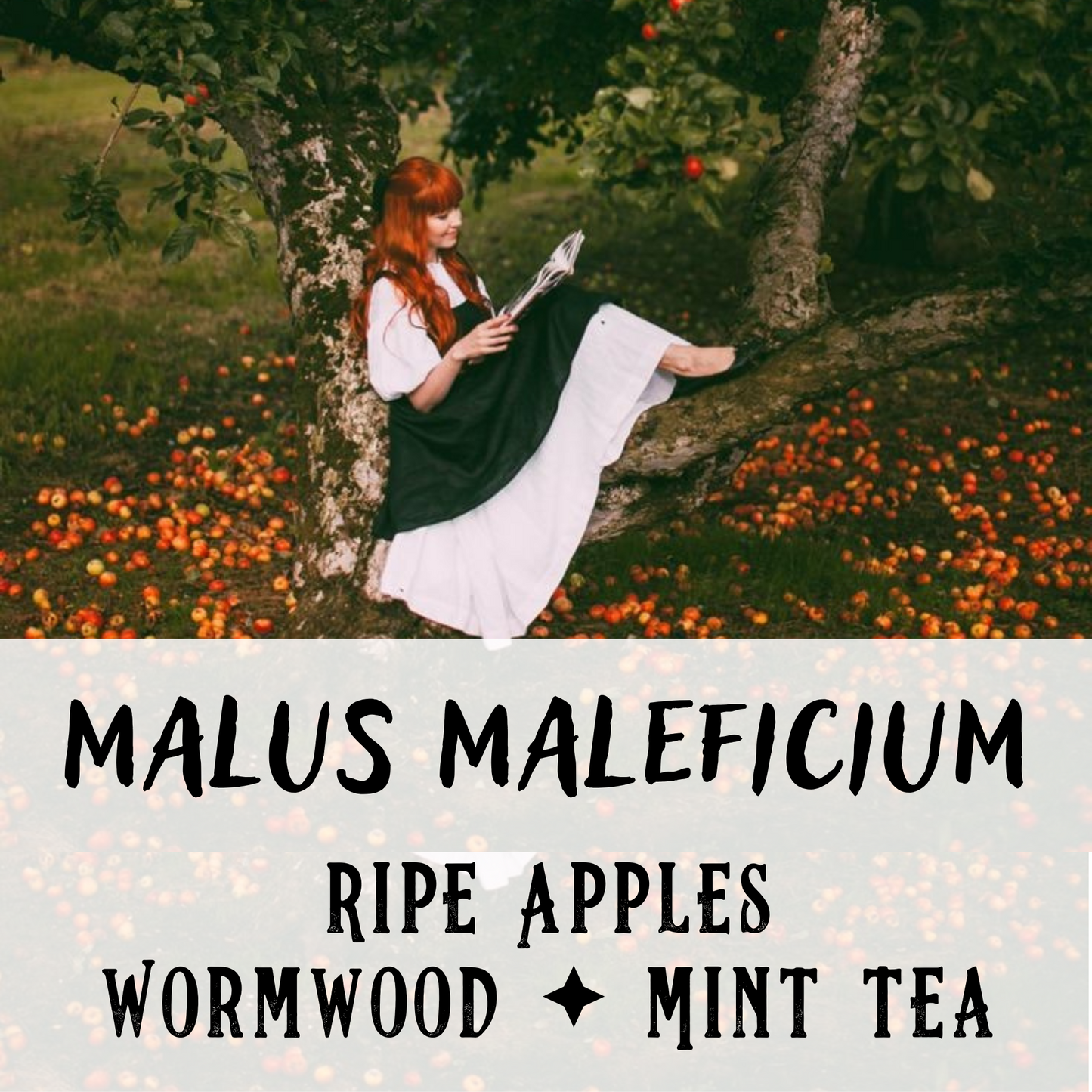 Malus Maleficium